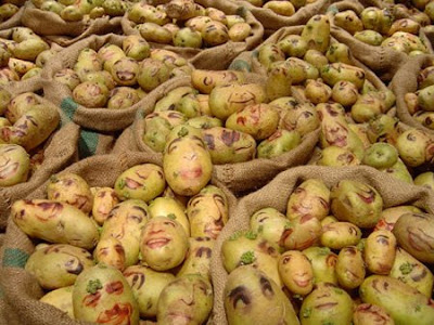 Weird and Ugly Potato Portraits