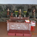 View album