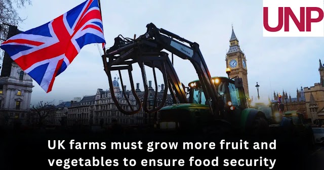 UK farms must grow more fruit and vegetables to ensure food security