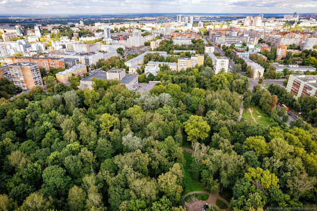 Зеленые кроны деревьев на фоне города