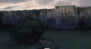 the maze runner