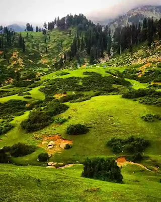 Swat from Islamabad | A scenic journey towards tourist's heaven