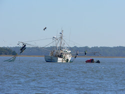 Shrimp boat in Port Royal Inlet