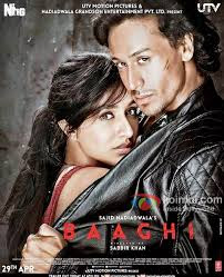 Baaghi: A Rebel For Love (2016) (DVDRip) (PC HD) (Full Movie)