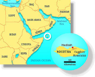 Yemen's Socotra island
