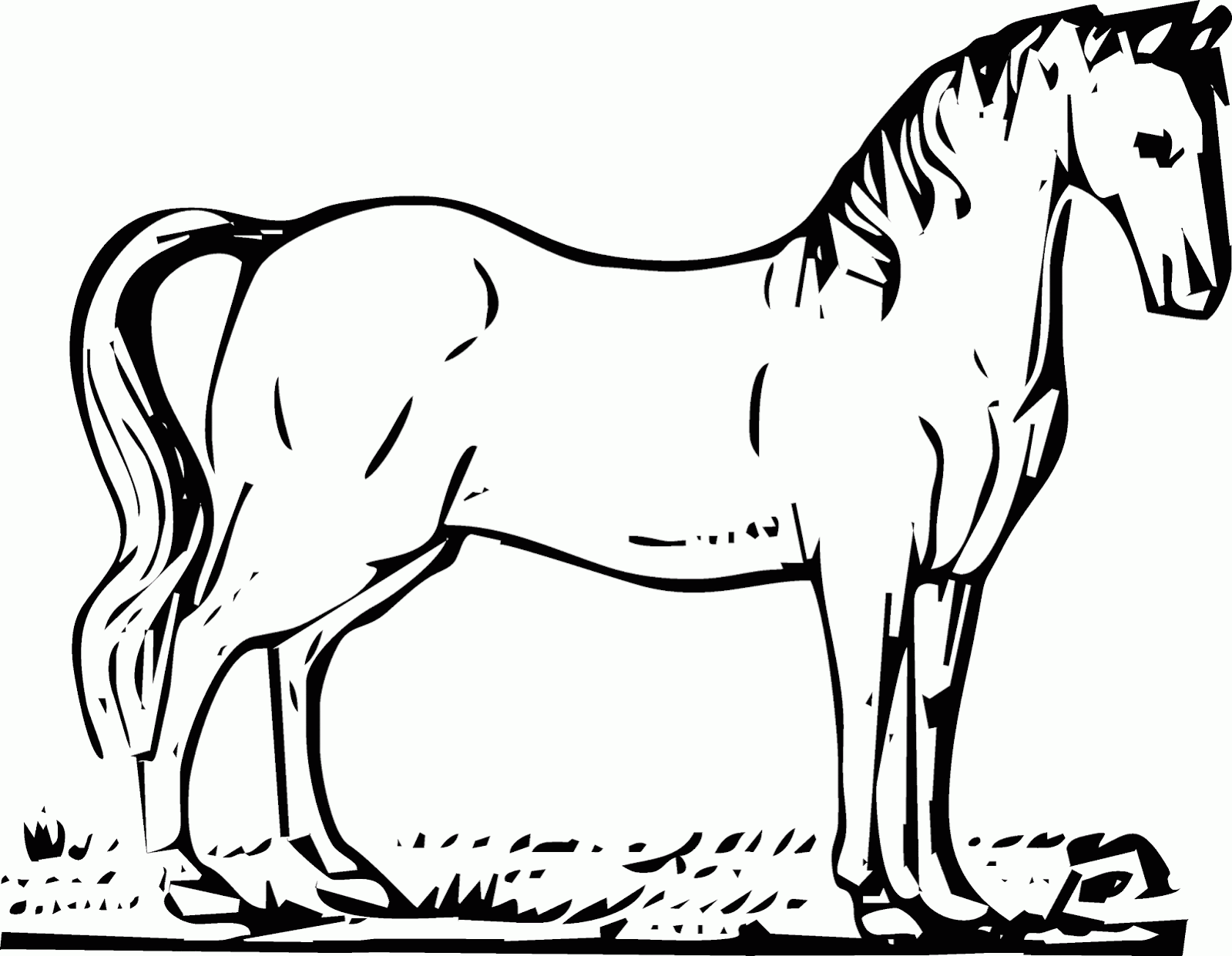Gambar Animasi Kuda Untuk Mewarnai