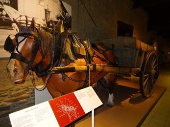 2018.07.01-027 cheval postier breton dans le musée