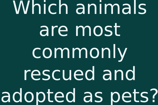 Which animals are most commonly rescued and adopted as pets?