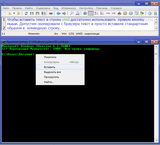 вставить текст в командную строку