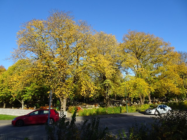 DSC04926