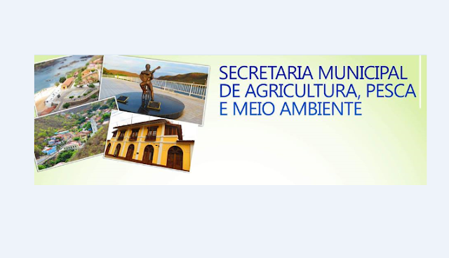 Secretaria de Agricultura, Pesca e Meio Ambiente de Piranhas, realizará a apreensão de animais soltos nas ruas, estradas  e terrenos para o curral municipal a partir de segunda-feira (9) 