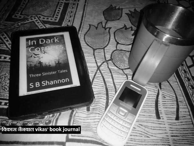 In Dark Corners by S B Shannon