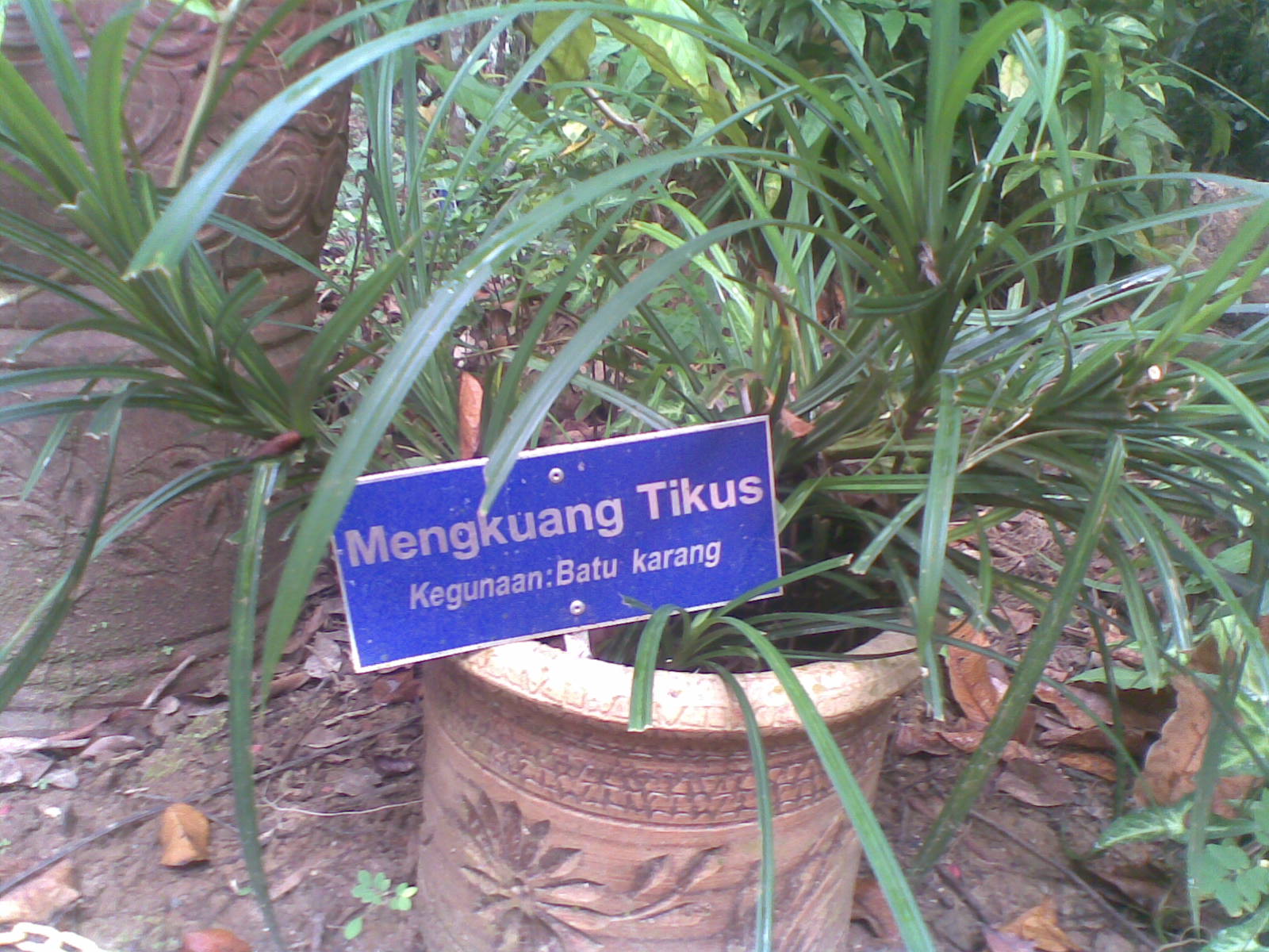 Taman Herba  Catatan Ilusi