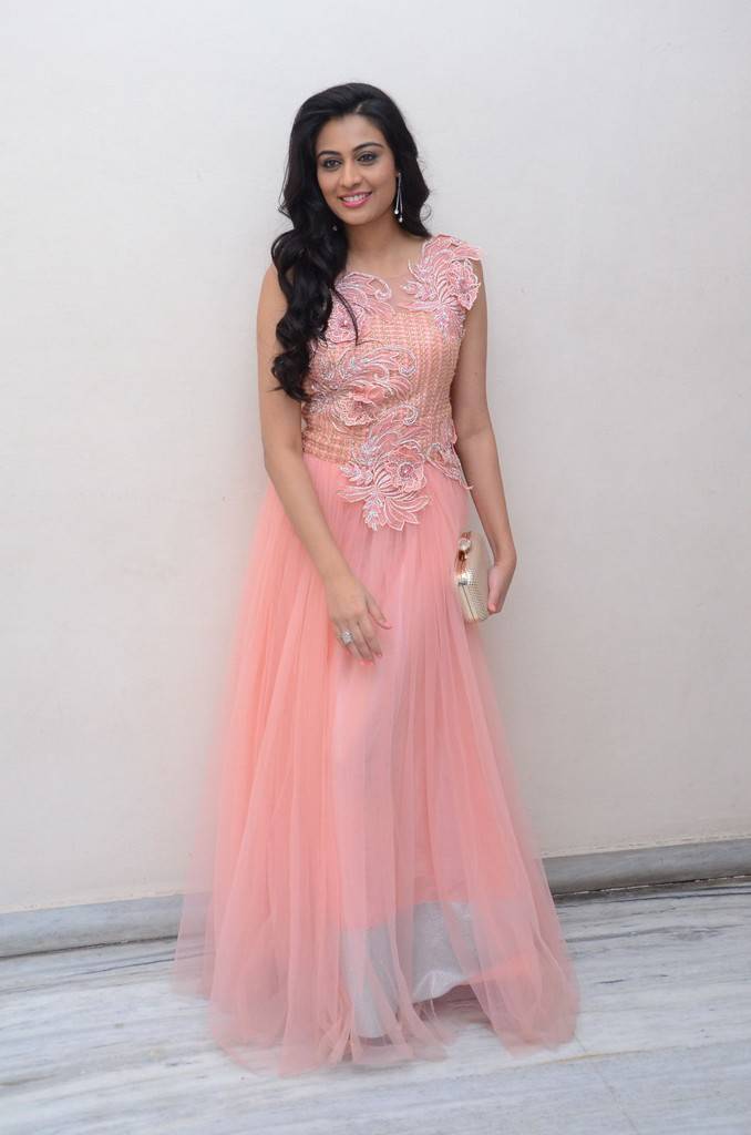 Neha Hinge in Pink Long Gown