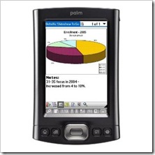 palm tx