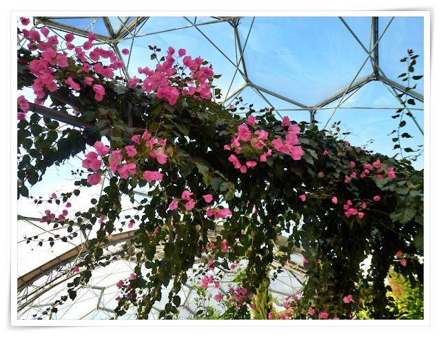 Colour inside the Mediterranean Biome