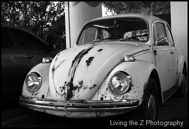 old bug 2