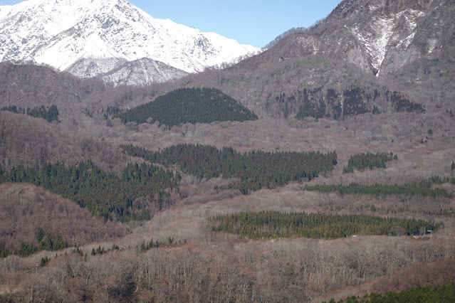 岡山県真庭市の蒜山下徳山 鬼女台展望休憩所からの眺望