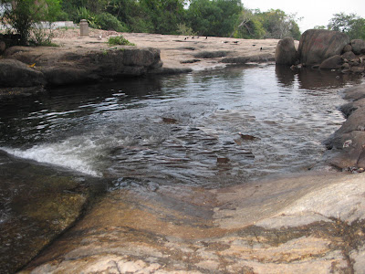 natural pool