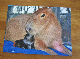 jigsaw puzzle of a capybara