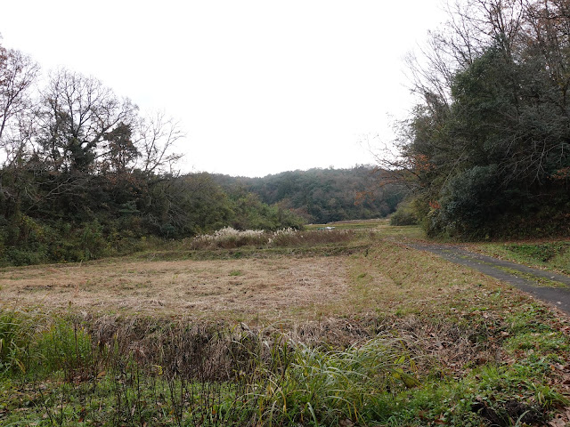 伯耆町の小野集落の農道