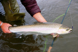 Ladies Steelhead Trip Day 2 and 3