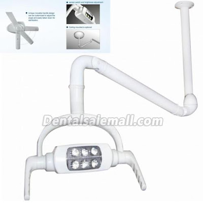 Ceiling-mounted Dental Oral Light Lamp Operating Lamp 6 LED Lens With Arm US STOCK