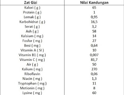 765 Manfaat dan Khasiat Buah Sirsak Sebagai Obat Tradisional