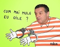 Cum mai mulg eu oile?