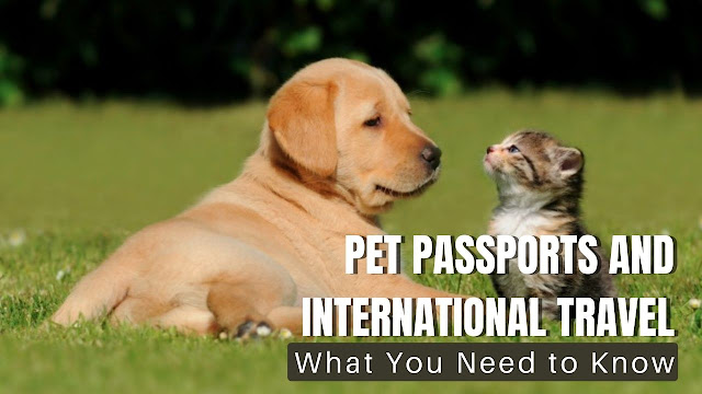 Pet Passports and International Travel