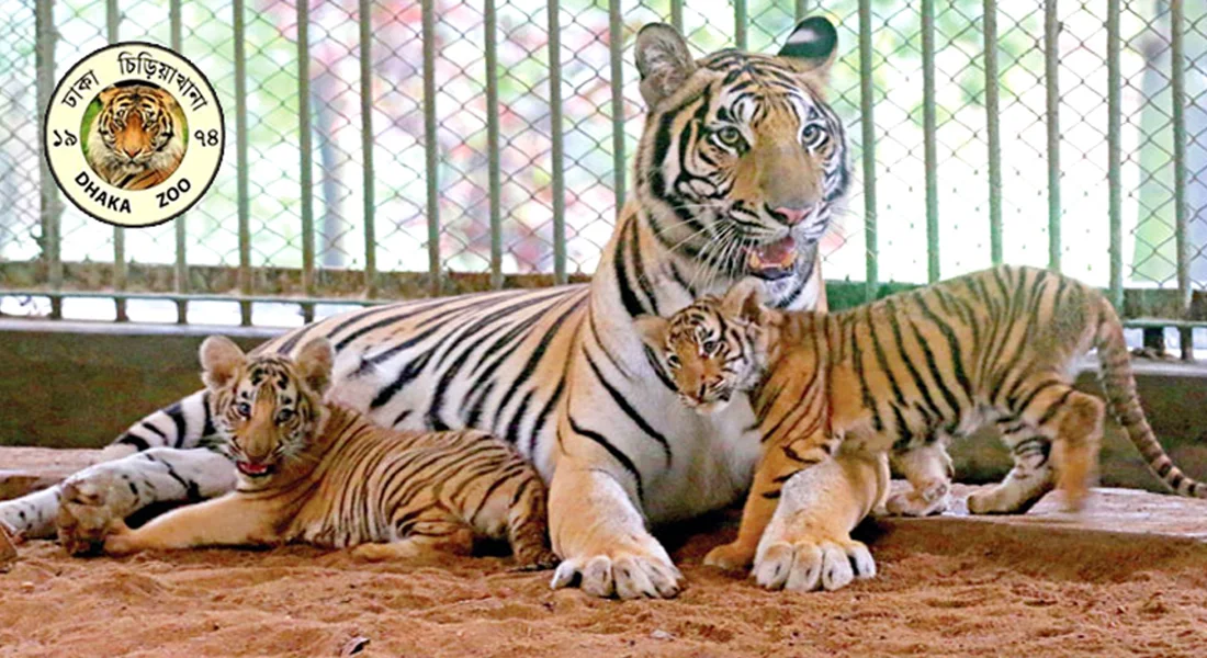 চিড়িয়াখানা ঢাকা, বাংলাদেশ জাতীয় চিড়িয়াখানা, চিড়িয়াখানা প্রবেশ মূল্য ২০২১; national zoo, ভ্রমণ