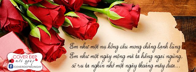 anh-bia-facebook-em-nhu-mot-nu-hong