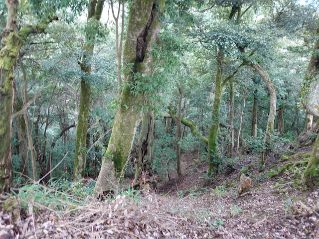 月山富田城跡　勝日高守神社