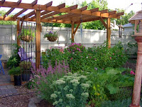 Wood Arbor Kits4