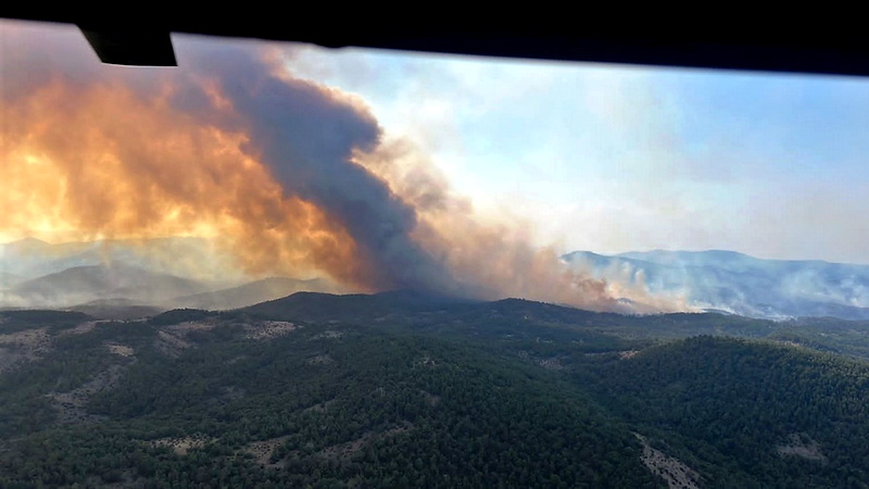 Σε πύρινο κλοιό για 4η μέρα το Δάσος της Δαδιάς - Τεράστια οικολογική καταστροφή