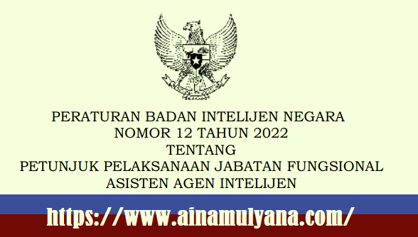 Peraturan Badan Intelijen Negara Nomor 12 Tahun 2022 Tentang Petunjuk Pelaksanaan Jabatan Fungsional Asisten Agen Intelijen