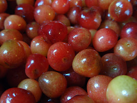 These look a bit like grapes, but they're cherries, I promise.