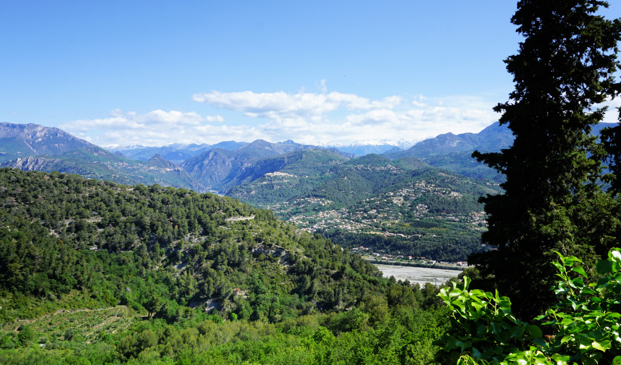 View northeast from trail to Le Broc