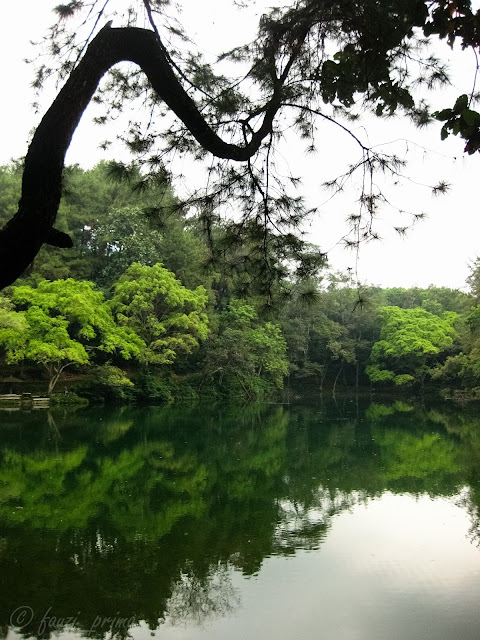 Pemandangan di sekeliling Telaga Remis