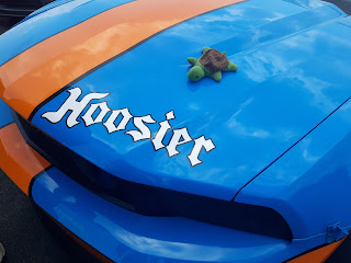 Speedy the turtle Hoosier CP Mustang