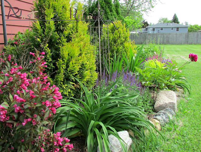 Zone 5 garden beds, adding curb appeal by dividing flowers and plants to save money