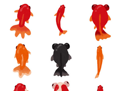 すべての動物の画像 金魚 上から イラスト リアル