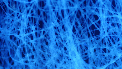 Micrograph of tissue paper. Illumination is by ultraviolet light causing autofluorescence of the fibres, the image was captured through a blue filter to block direct illumination. 9 images manually stitched into a panorama. Individual fibres are ~10 μm wide.