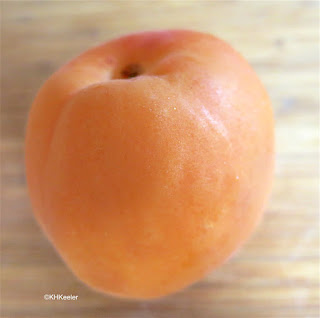 commercial Colorado apricot