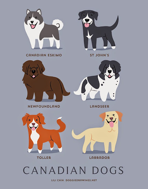 “Dogs Of The World” pósters para conocer el origen de varias razas de perros