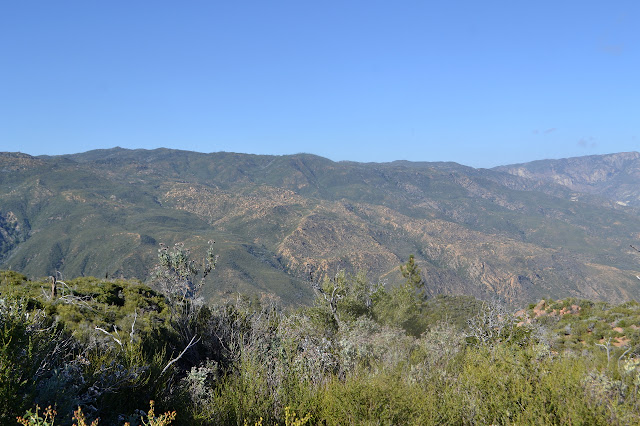 ridge lines above