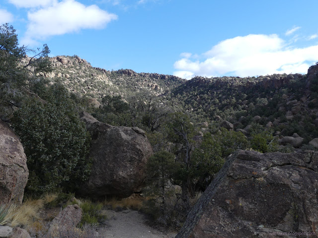 23: bowl and rocks