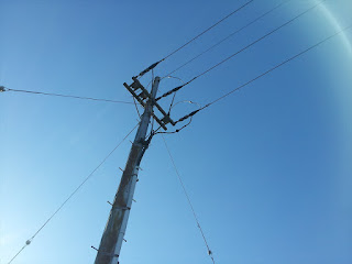 「富士山の送電網」架空線最終部の73号電柱