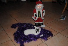 Brenazet_0065kerstmis2011 [400x300]