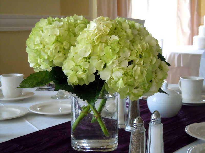 centerpiece of green hydrangeas